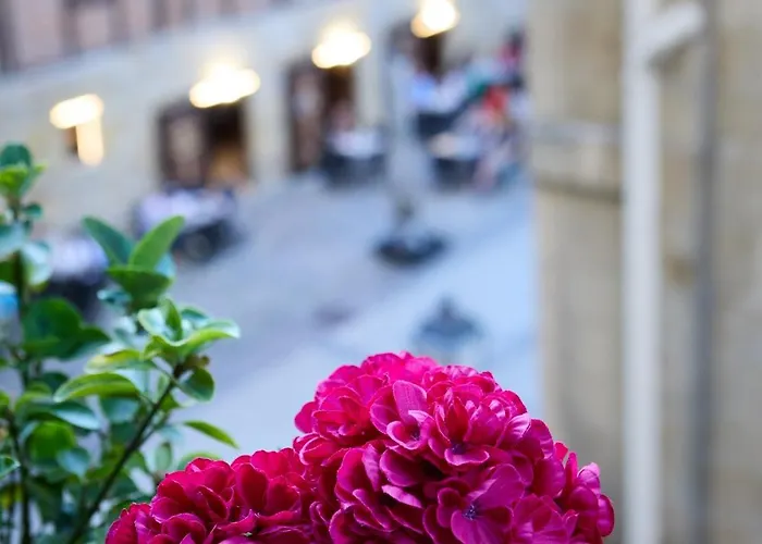 招待所 圣赫罗尼莫膳食公寓酒店 圣塞瓦斯蒂安