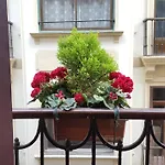 San Jeronimo San Sebastián