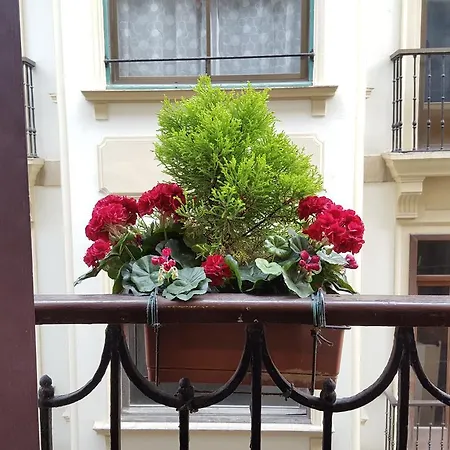 San Jerónimo San Sebastián